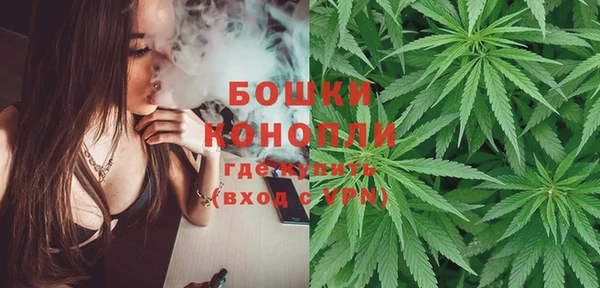 PSILOCYBIN Иннополис