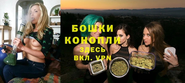 PSILOCYBIN Иннополис