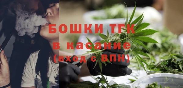 амф Инсар